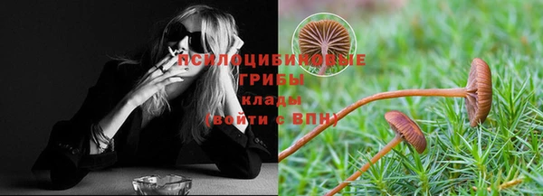 прущие грибы Алексеевка