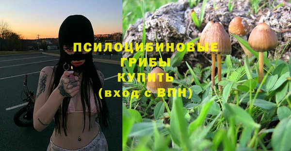 прущие грибы Алексеевка