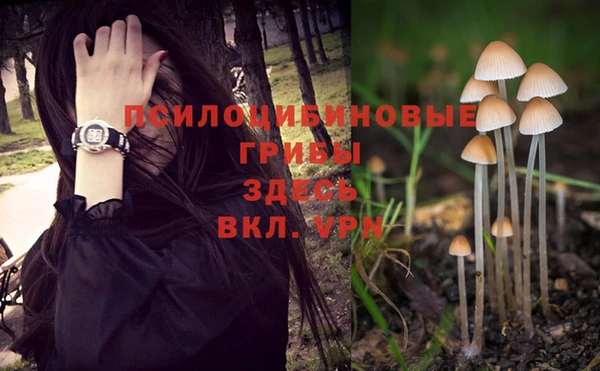 трава Абаза