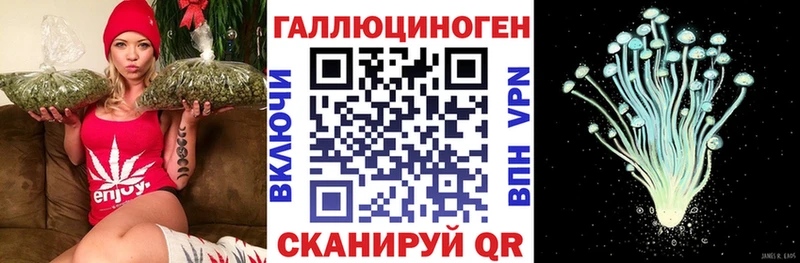 закладка  площадка телеграм  Псилоцибиновые грибы мухоморы  Орёл  МЕГА вход 
